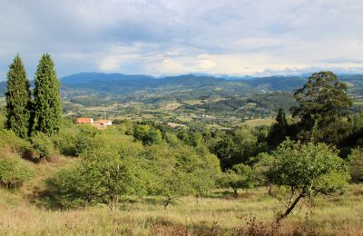 Maison de campagne à vendre Niévares, Asturies, Image 38/39