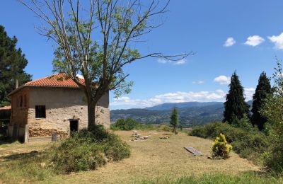 Maison de campagne à vendre Niévares, Asturies, Image 31/39