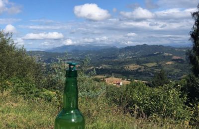 Maison de campagne à vendre Niévares, Asturies, Image 32/39
