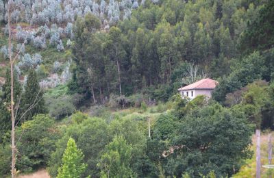 Maison de campagne à vendre Niévares, Asturies, Image 35/39