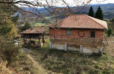 Maison de campagne à vendre Niévares, Asturies, Blick von hinten 