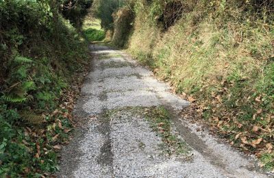 Maison de campagne à vendre Niévares, Asturies, Weg zum Haus 
