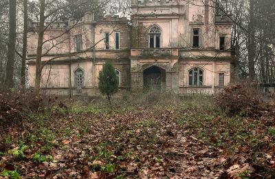 Château à vendre Cisie-Zagrudzie, Mazovie:  