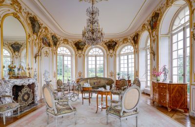Château à vendre Abbeville, Hauts-de-France, Salon