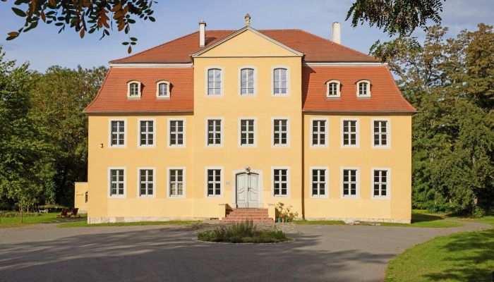 Château à vendre Groitzsch, Saxe,  Allemagne