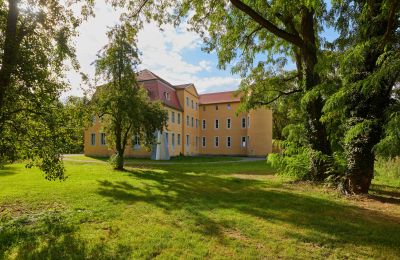 Château à vendre Groitzsch, Saxe, Terrain