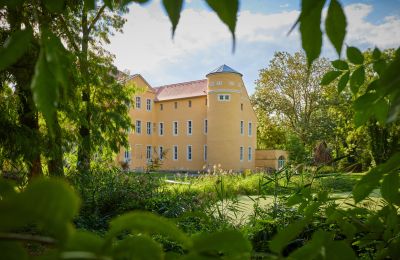 Château à vendre Groitzsch, Saxe, Parc