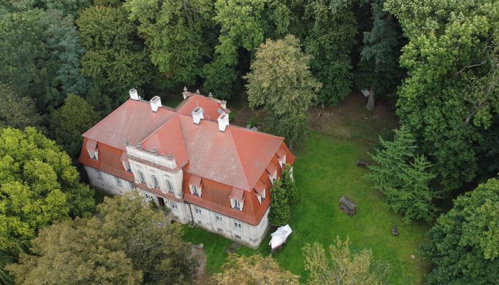 Manoir à vendre Popowo Stare, Grande-Pologne,  Pologne