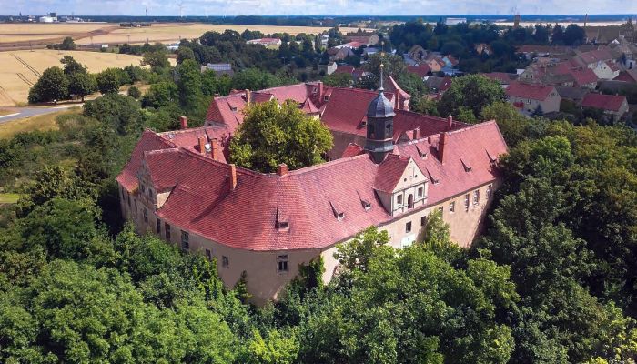Château à vendre Mühlberg/Elbe, Brandebourg,  Allemagne