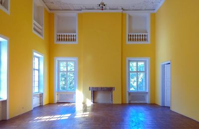 Château à vendre Siedlec, Pałac w Siedlcu, Grande-Pologne, Salle de bal
