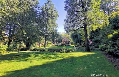 Moulin à vendre Netvořice, okres Benešov, Image 2/21