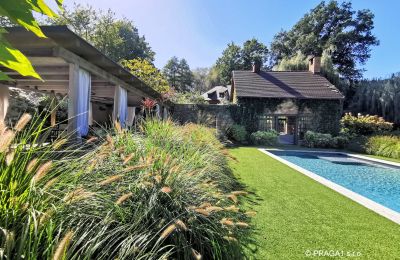 Moulin à vendre Netvořice, okres Benešov, Image 3/21