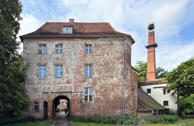 Château médiéval à vendre 16909 Goldbeck, Goldbecker Burgstraße  1, Brandebourg, Vue frontale