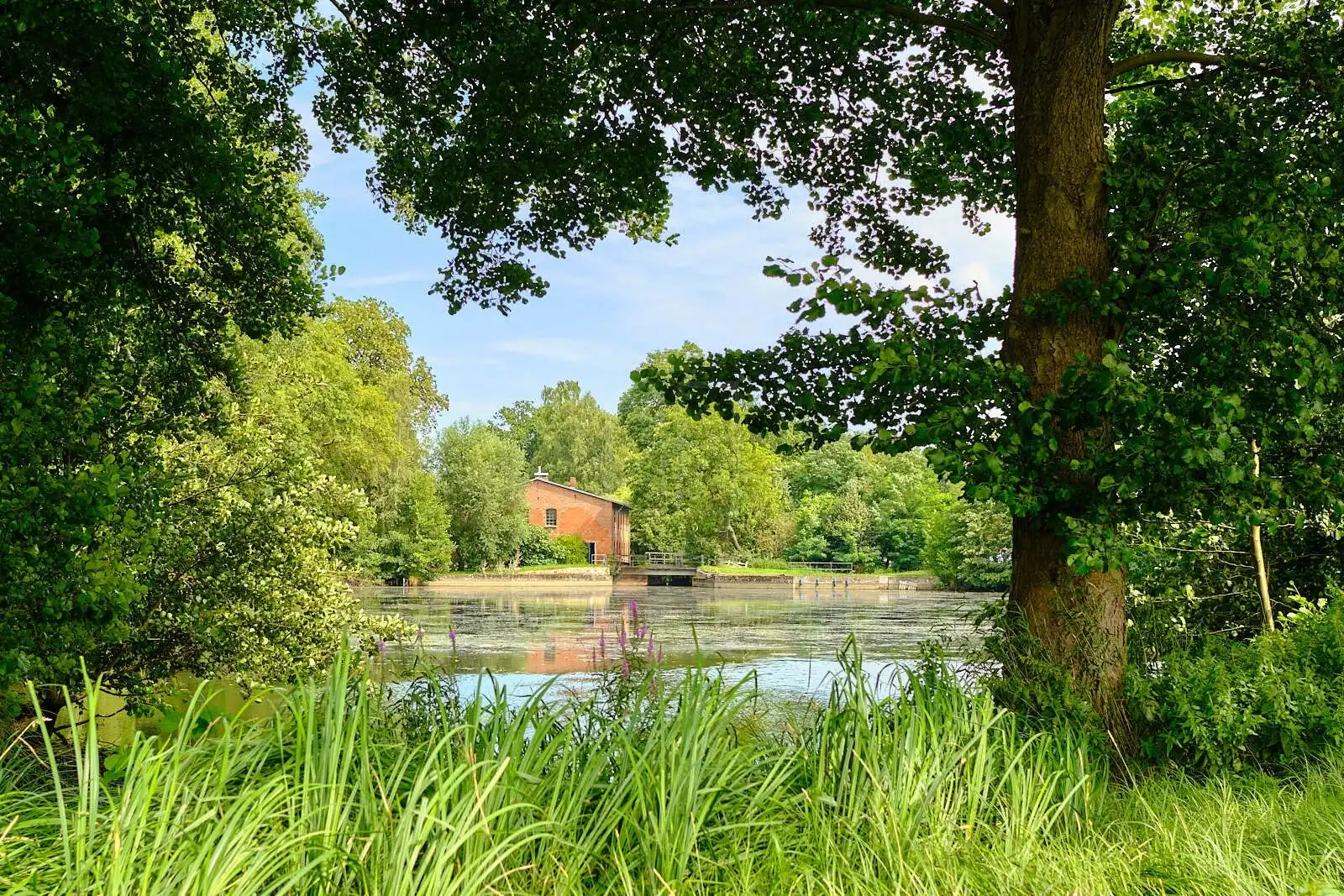 29451 Dannenberg, Basse-Saxe à vendre