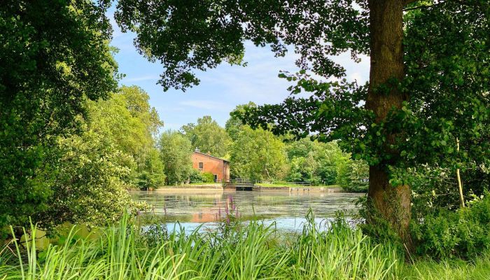 Moulin 29451 Dannenberg, Basse-Saxe