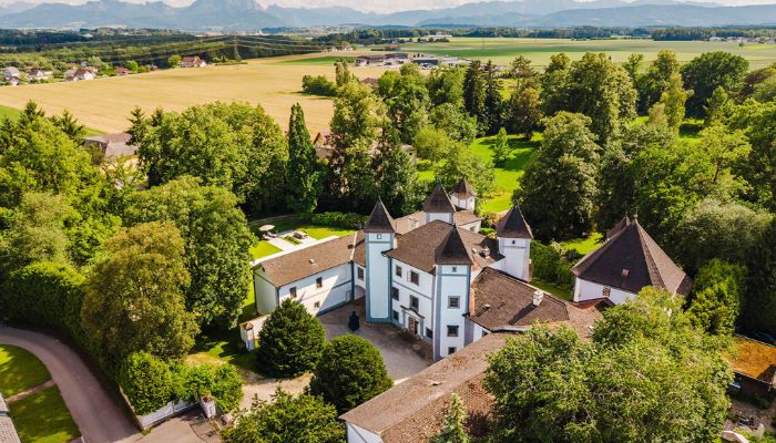 Château à vendre 4693 Desselbrunn, Haute-Autriche