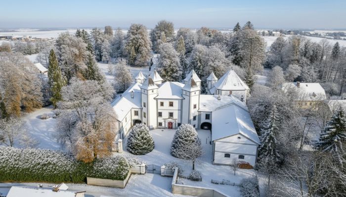 Château à vendre 4693 Desselbrunn, Haute-Autriche
