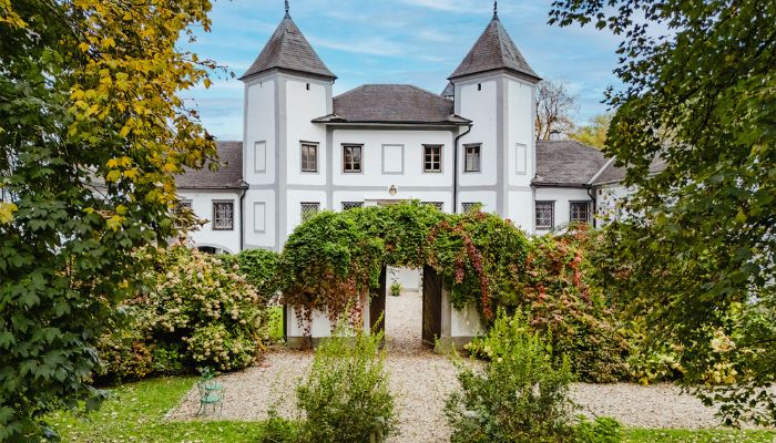 Château à vendre 4693 Desselbrunn, Haute-Autriche