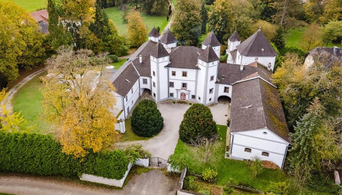 Château à vendre 4693 Desselbrunn, Haute-Autriche