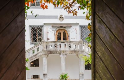 Château à vendre 4693 Desselbrunn, Oberösterreich, Märchenhafter Blick