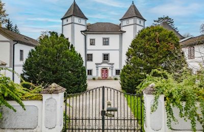 Château à vendre 4693 Desselbrunn, Oberösterreich, Die herrschaftliche Rückansicht im Nordosten des Ensembles