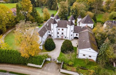 Château à vendre 4693 Desselbrunn, Oberösterreich, Photo Drone