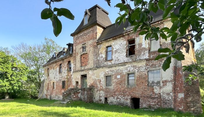 Château à vendre Komorowice, Basse-Silésie