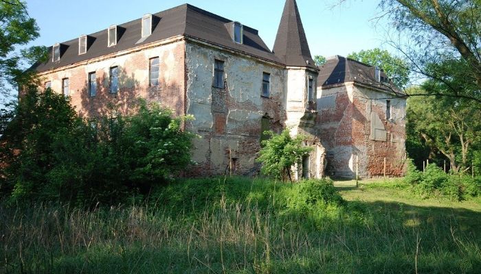 Château à vendre Komorowice, Basse-Silésie