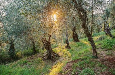 Demeure historique à vendre Loro Ciuffenna, Toscane, Image 4/35