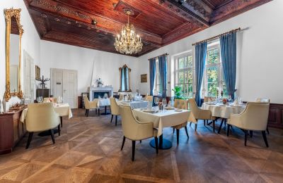 Château à vendre Trnová, okres Praha-západ, Grande salle