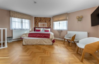 Château à vendre Trnová, okres Praha-západ, Image 12/53