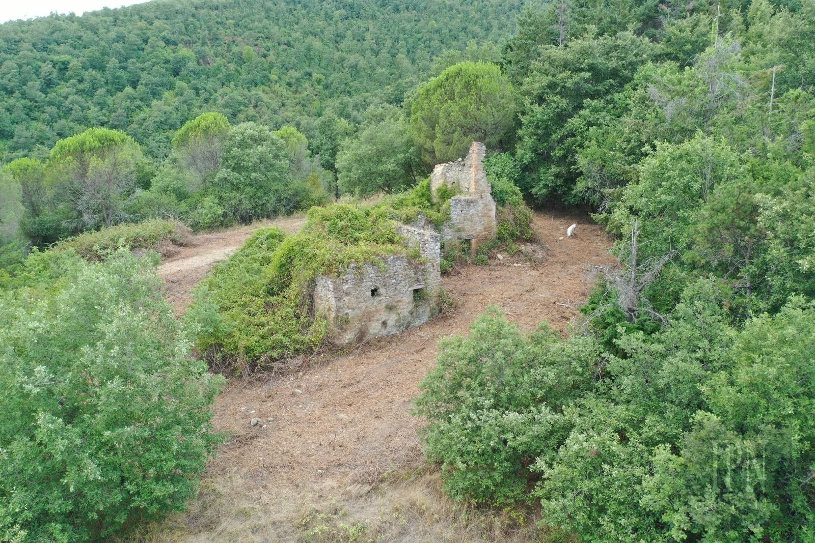 Photos Casale in pietra da ristrutturare con terreno di 2,8 ha a Pian di Marte
