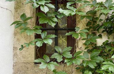 Château à vendre 84375 Kirchdorf am Inn, Hofmarkstraße 2, Bavière, eines von 4 Tuffsteinfenstern im EG