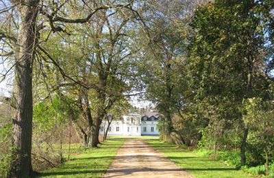 Manoir à vendre Mołomotki-Dwór, Mazovie, Image 6/16