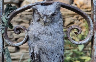 Manoir à vendre Galice, Image 30/48