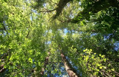 Manoir à vendre Galice, Image 34/48