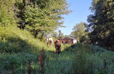 Manoir à vendre Galice, Image 42/48