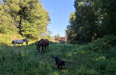 Manoir à vendre Galice, Image 43/48