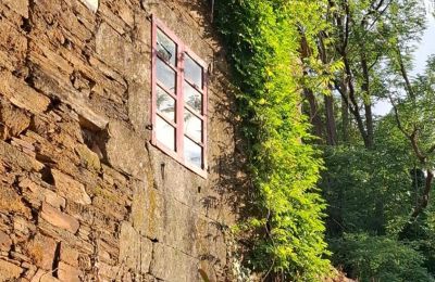 Manoir à vendre Galice, Image 9/48