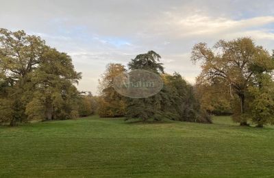 Château à vendre Mirande, Occitanie, Image 26/26