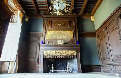 Château à vendre Mirande, Occitanie, Image 7/26