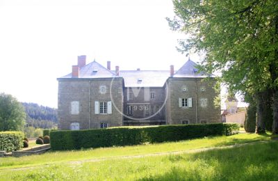 Immobilier historique à vendre Issoire:  