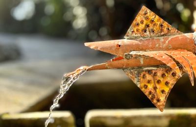 Demeure historique à vendre Verbania, via Intra Premeno, Piémont, Image 5/50