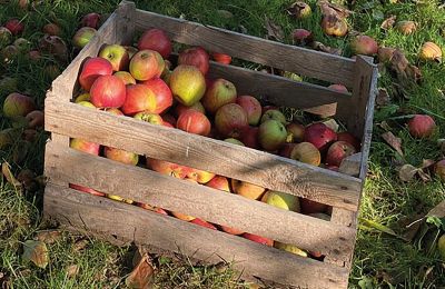 Château médiéval à vendre Mecklembourg-Poméranie-Occidentale, Image 77/97