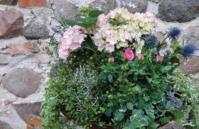 Château médiéval à vendre Mecklembourg-Poméranie-Occidentale, Image 52/97