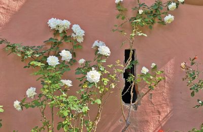 Château médiéval à vendre Mecklembourg-Poméranie-Occidentale, Image 43/97