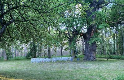 Château médiéval à vendre Mecklembourg-Poméranie-Occidentale, Image 67/97