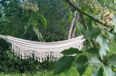 Château médiéval à vendre Mecklembourg-Poméranie-Occidentale, Image 69/97