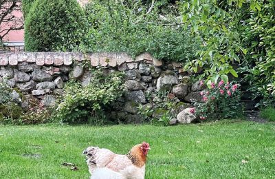 Château médiéval à vendre Mecklembourg-Poméranie-Occidentale, Image 74/97