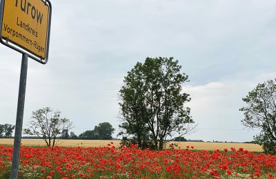 Château médiéval à vendre Mecklembourg-Poméranie-Occidentale, Image 92/97